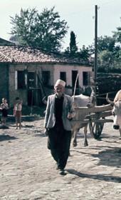 WF007:
Peasant with an oxcart in Kavaja (Photo: Wilfried Fiedler, 1957)