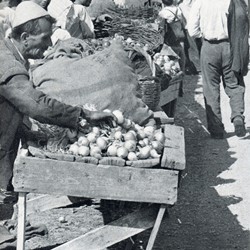 HH097a | Vegetable market in Shkodra (Photo: Harry Hamm 1961).