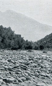 Jäckh100: “Rocky bed of the Drin River with grazing cattle” (Photo: Ernst Jäckh, ca. 1910).