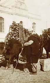 Jäckh101: "Albanian carting wood on the flatland around the town of Shkodra" (Photo: Ernst Jäckh, ca. 1910. Courtesy of Rare Books and Manuscript Library, Columbia University, New York, 130114-0012).