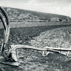 WKL1942_049b | Al Albanian plough (Photo 1941-1942).