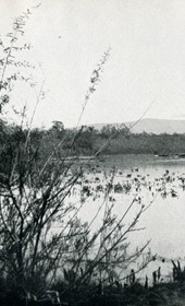 EVL066: The marshes of Patok in the district of Laç (Photo: Erich von Luckwald, ca. 1936).