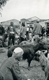 EVL079: Animal market outside of Shkodra (Photo: Erich von Luckwald, ca. 1936).