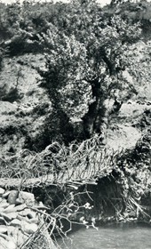 EVL106: Wicker bridge over a creek in southern Albania (Photo: Erich von Luckwald, ca. 1936).