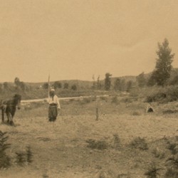 FMG009: Threshing at Micjana (near Burizana) northwest of Kruja, Albania (photo: Friedrich Markgraf, 1924-1928).