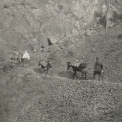 FMG046: The mule train of the author in the mountains of Albania (photo: Friedrich Markgraf, 1924-1928).
