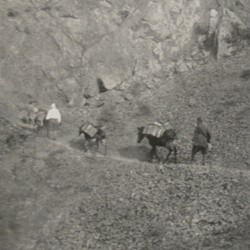 FMG046: The mule train of the author in the mountains of Albania (photo: Friedrich Markgraf, 1924-1928).