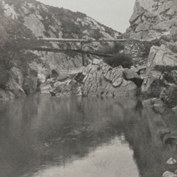 FMG053: A log bridge near Zajs in the Selita region of Mirdita, Albania (photo: Friedrich Markgraf, 1924-1928).