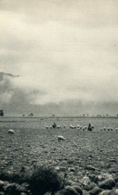 GM030: Rocky landscape in Dukagjin (Photo: Giuseppe Massani, 1940).