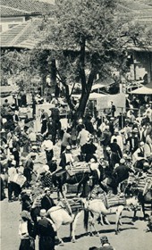 GM149: Market scene in central Albania (Photo: Giuseppe Massani, 1940).