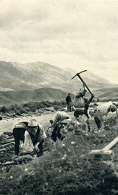 GM151: Road construction in central Albania (Photo: Giuseppe Massani, 1940).