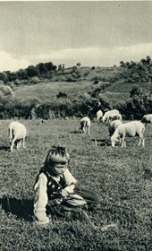 GM153: Young shepherd in a field (Photo: Giuseppe Massani, 1940).