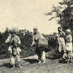 CP140: Gypsy musicians in Myzeqeja, Albania (photo: Carl Patsch, 19 May 1900).
