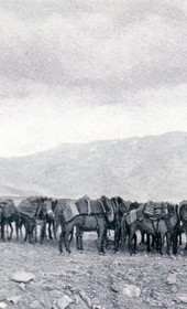 FW097B: “Salt caravan of transhumant Aromanian shepherds on their way through the arid and stony Kolonja valley” (Photo: Friedrich Wallisch, 1931).